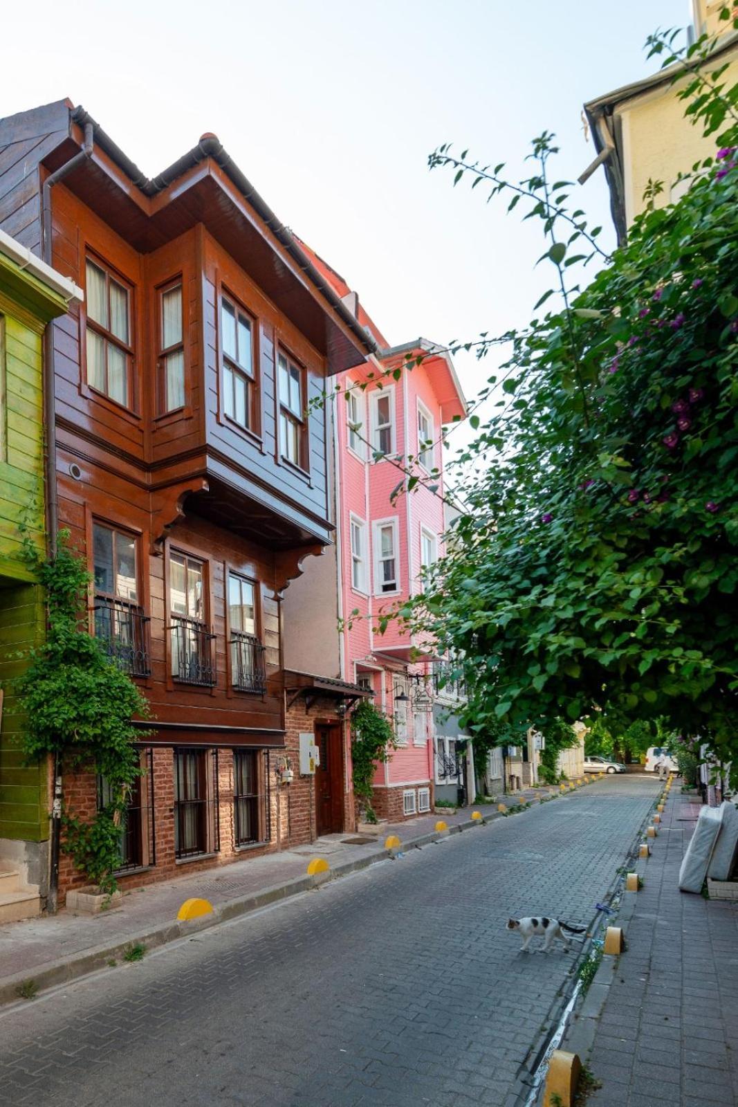 Brown Mansion Oldcity Istanbul Exterior foto